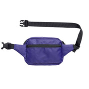 Explorer Fanny Pack